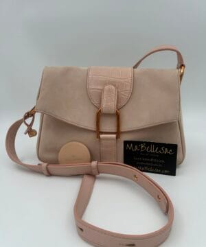Delvaux Givry Pm Cheyenne / alligator Nude