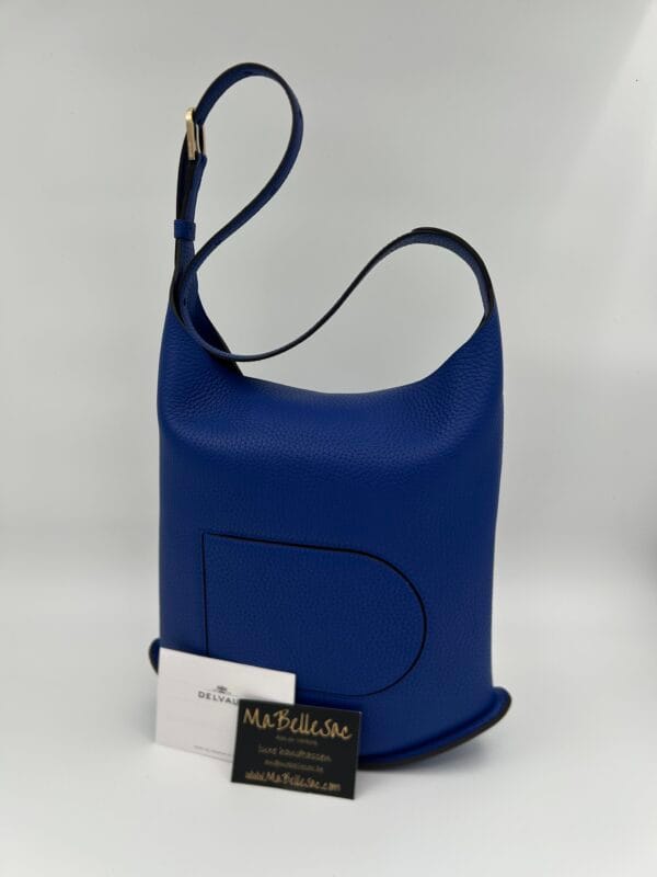 Delvaux Pin Hobo MM Outremer