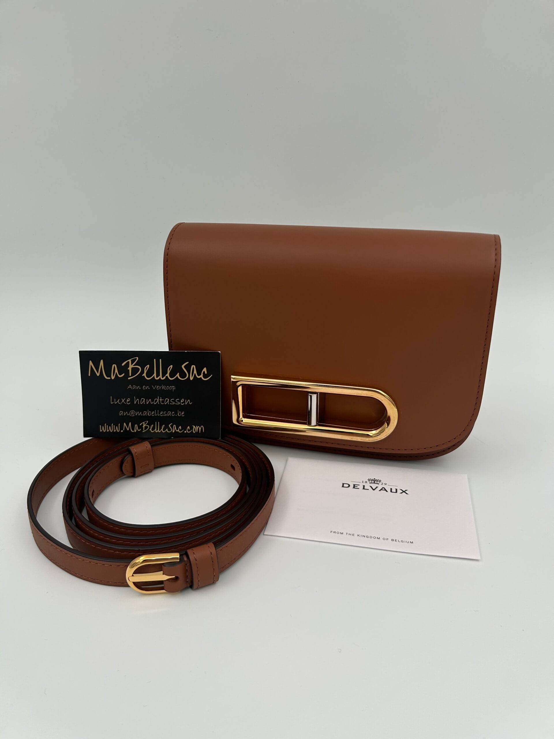 Delvaux Lingot small Tan