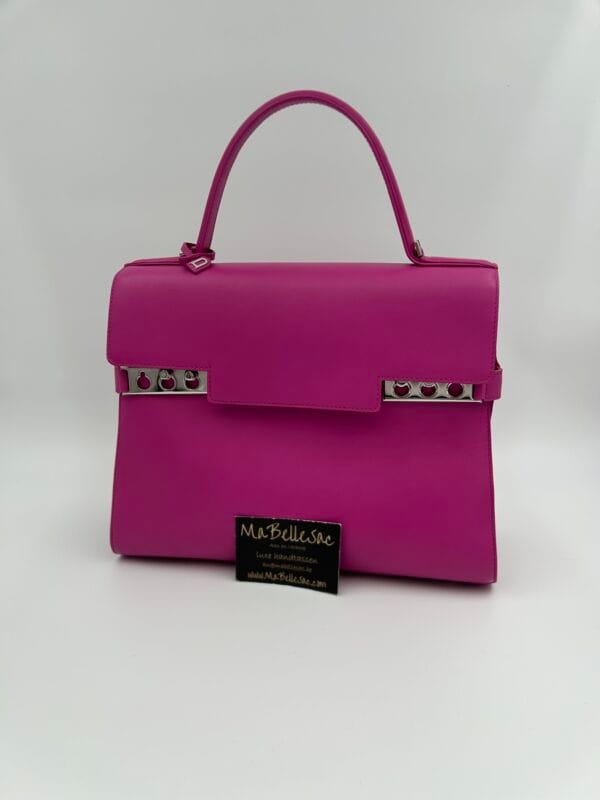 Delvaux Tempête GM Prume - Image 3