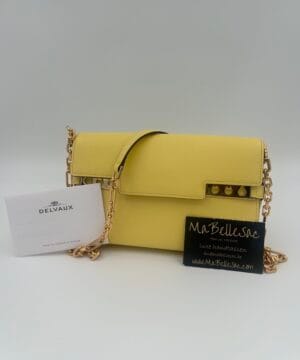 Delvaux Tempête clutch