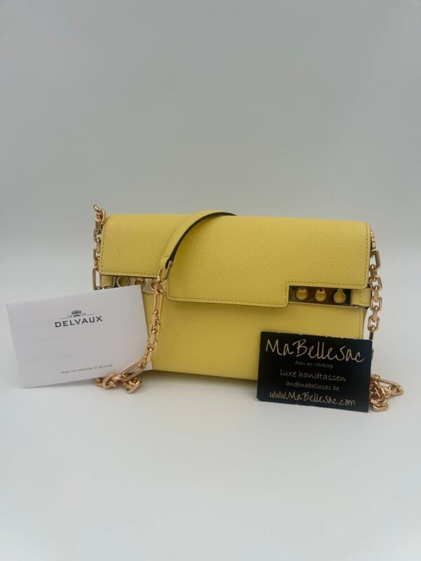 Delvaux Tempête clutch