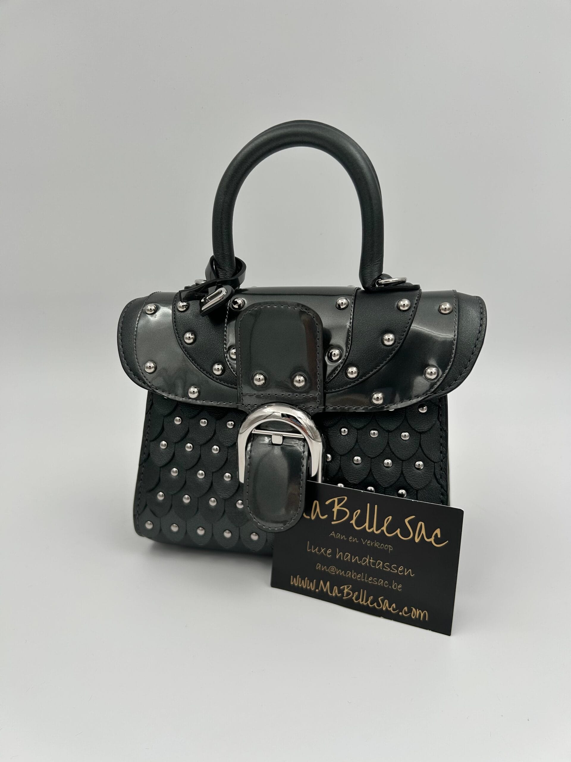 Delvaux Brillant Iron Shield - Couture Exclusive Collectie - Afbeelding 3