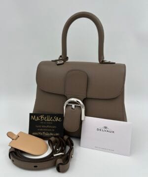 Delvaux Brillant PM Taupe