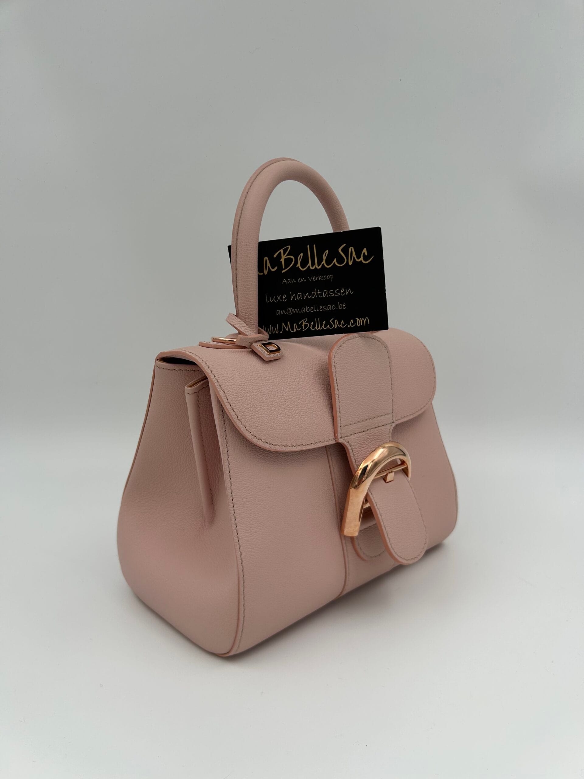 Delvaux Brillant Mini Nude - Image 4