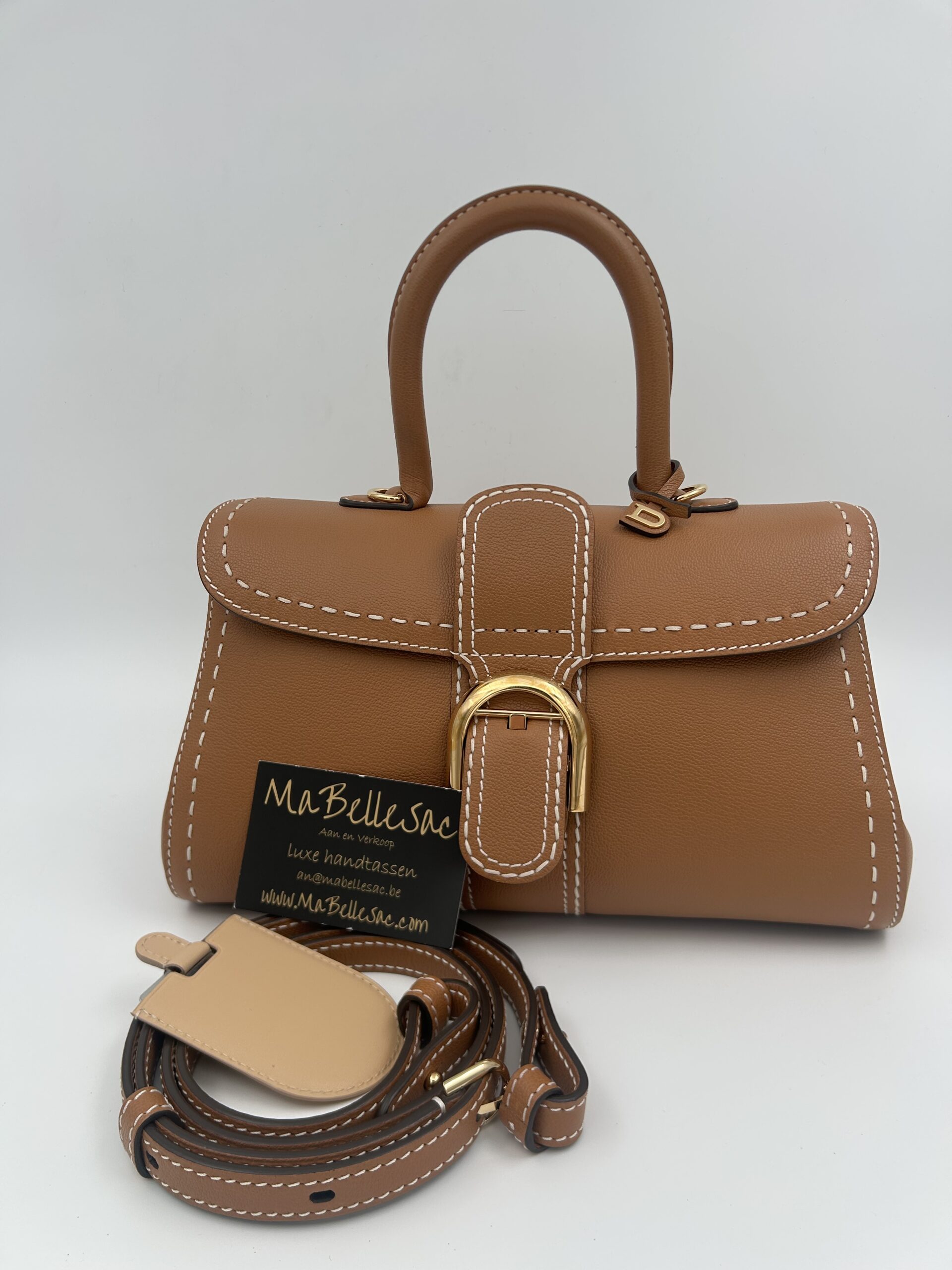 Delvaux Brillant mini S East West Surpique