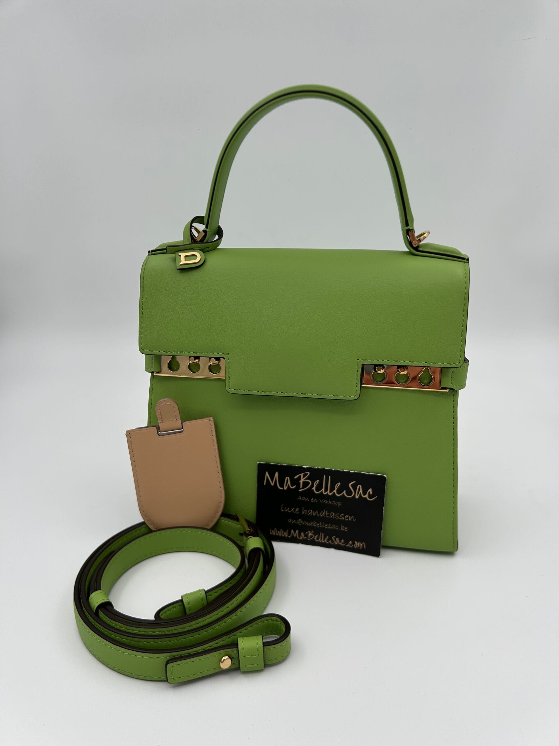 Delvaux Tempête PM Aloe