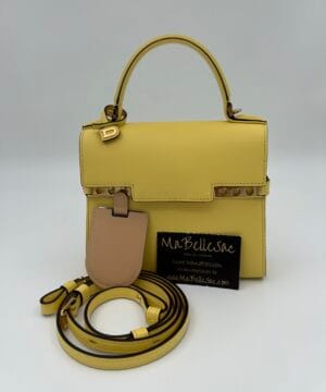 Delvaux Tempête Small Pollen