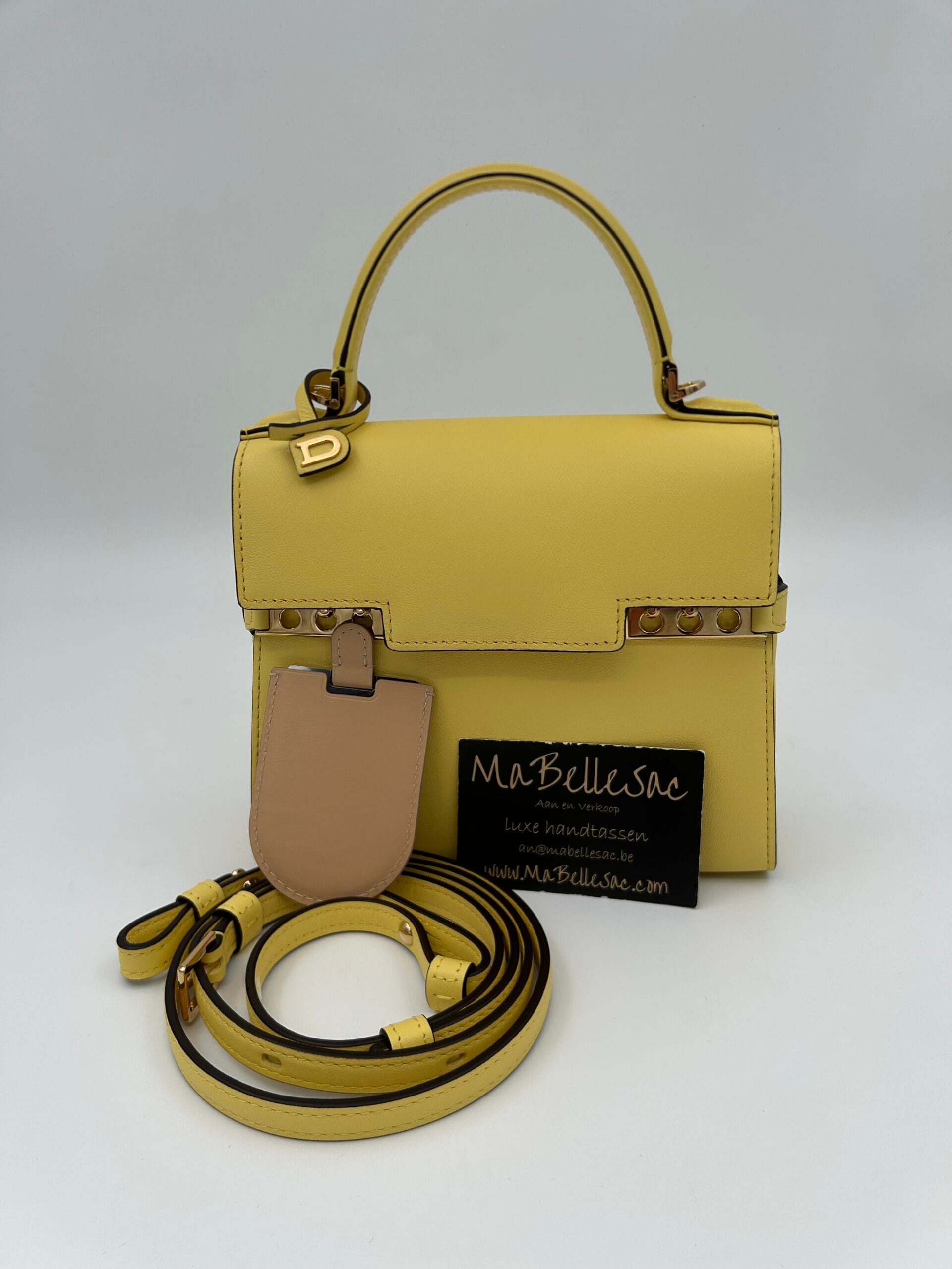 Delvaux Tempête Small Pollen